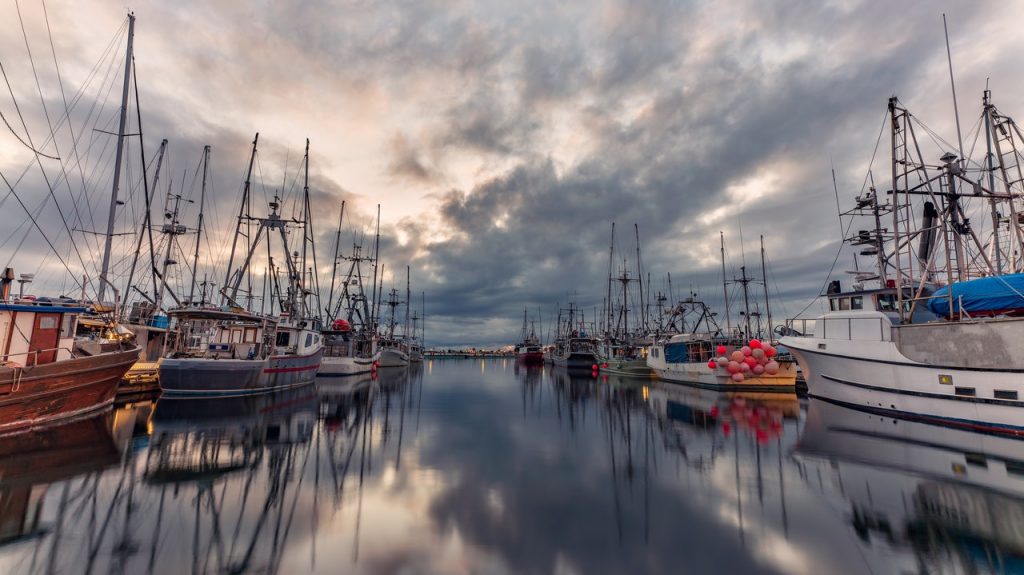 Inner Harbor a Victoria (Canada)

Foto di James Wheeler da Pexels
 