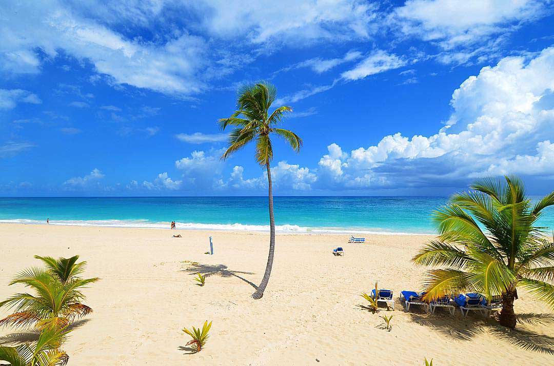 spiaggia binaca con mare caraibico e palme