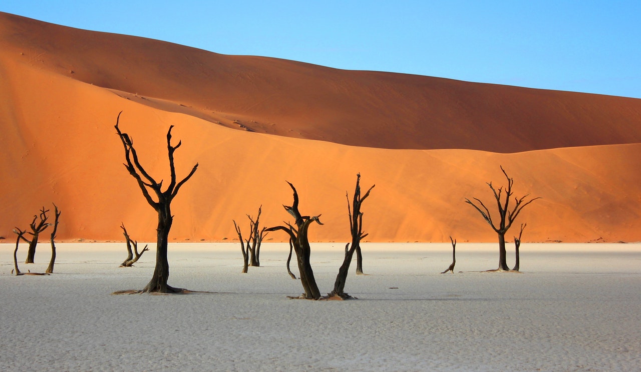 Namibia dune