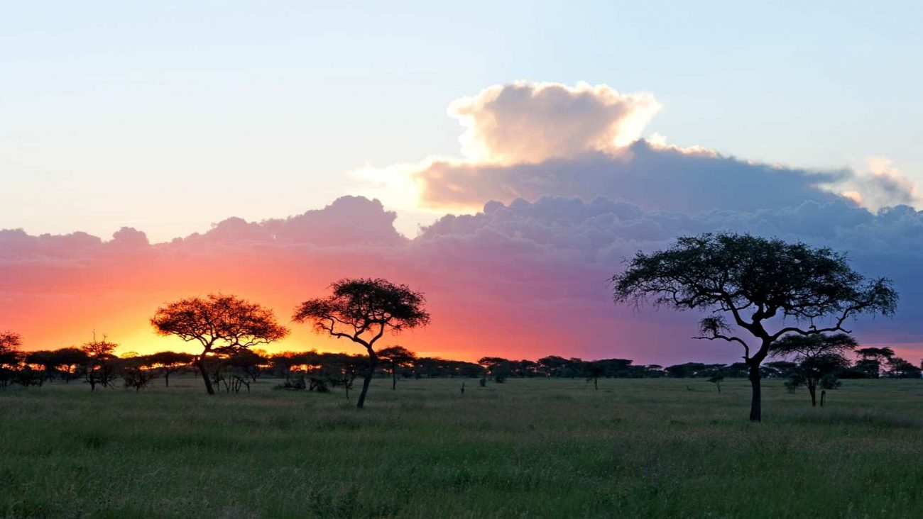 tramonto in africa