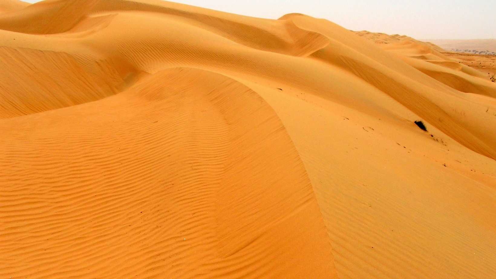 Ramlat al-Wahiba (Oman): deserto, dune, diversa geologia, flora, fauna