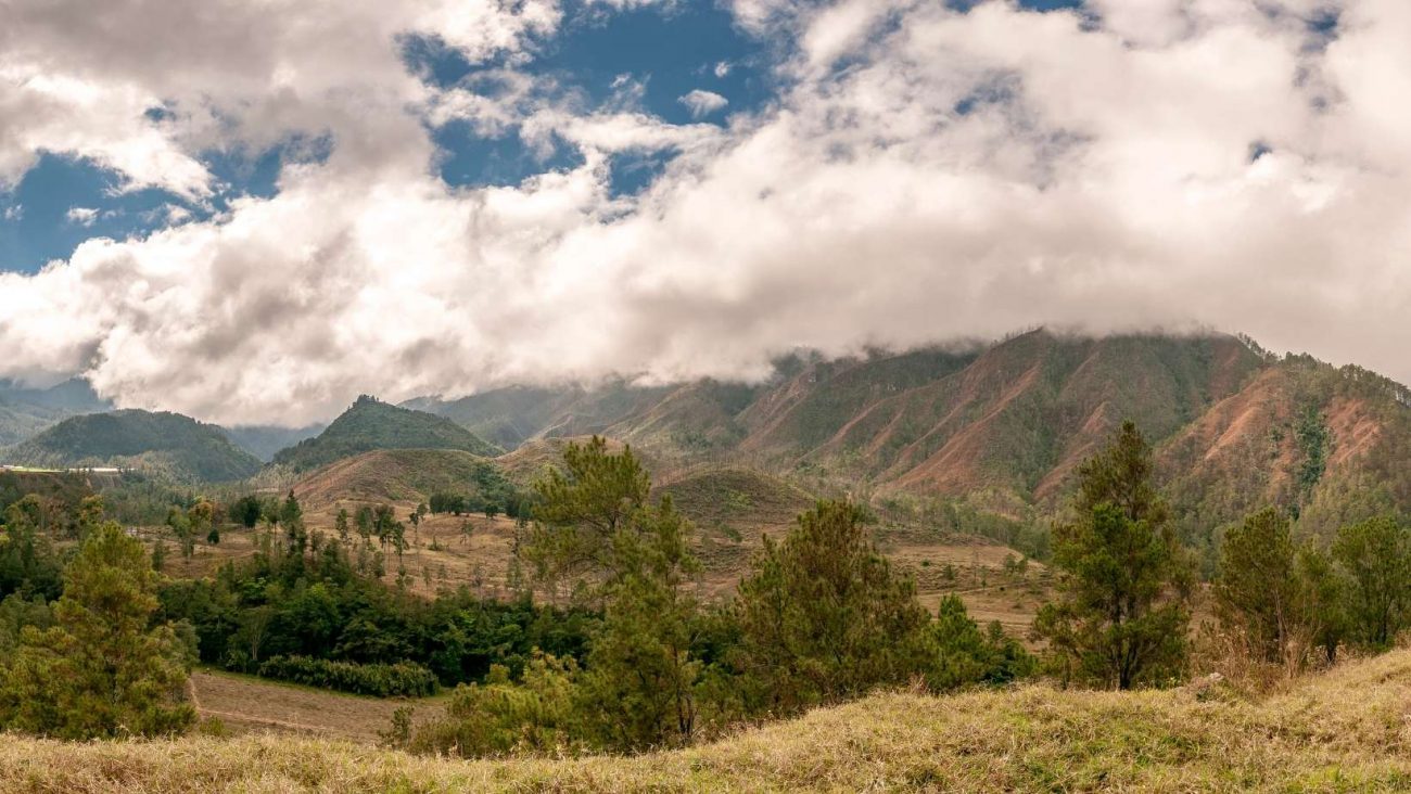 Parco Nazionale Armando Berm dez Repubblica Dominicana 
