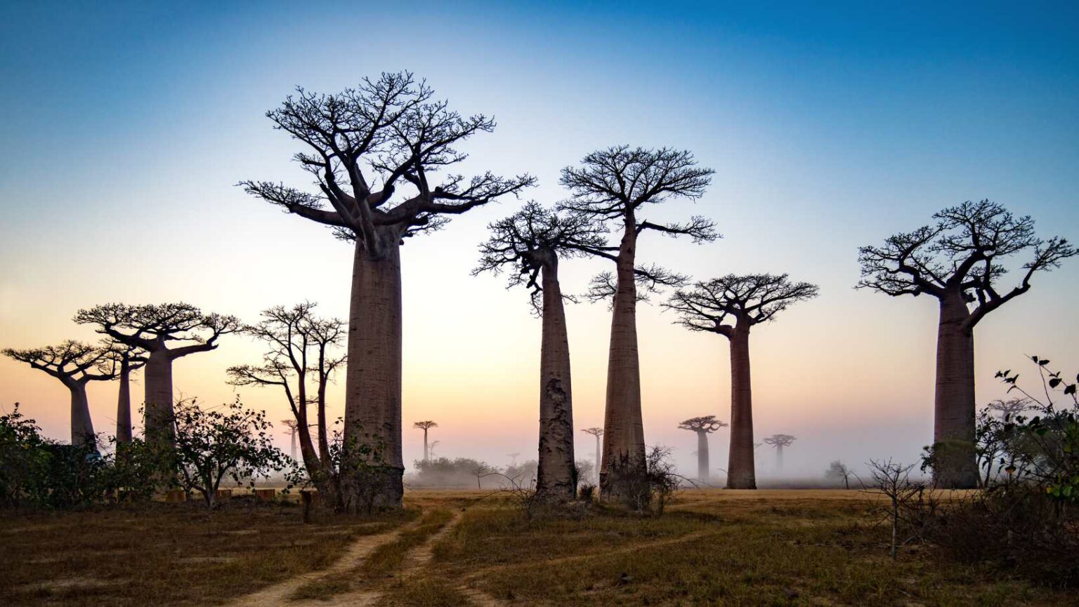 Stato Insulare A Est Del Madagascar