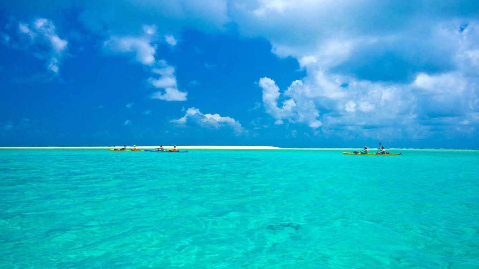 Madagascar (Africa): Stato insulare Oceano Indiano, biodiversità