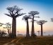 Madagascar (Africa): Stato insulare Oceano Indiano, biodiversità