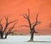 Sossusvlei (Namibia): piana desertica, dune sabbia rosa arancio